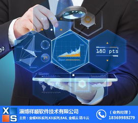 集團(tuán)ERP與祥順軟件 濱州計(jì)算機(jī)軟件開發(fā)優(yōu)勢